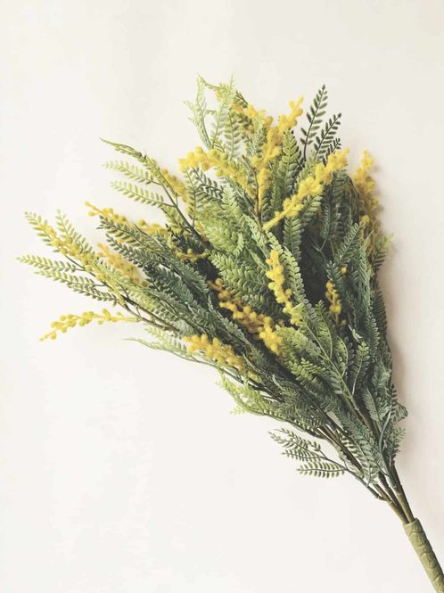 Hovedbilde Mimosa 58 cm