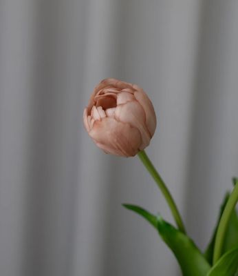Artificial Layered Tulips - Beige